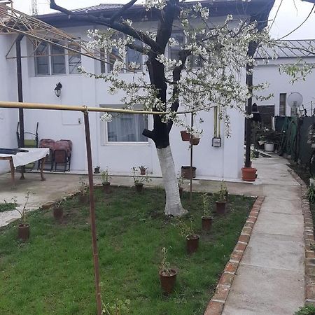 House Craiova Exterior foto