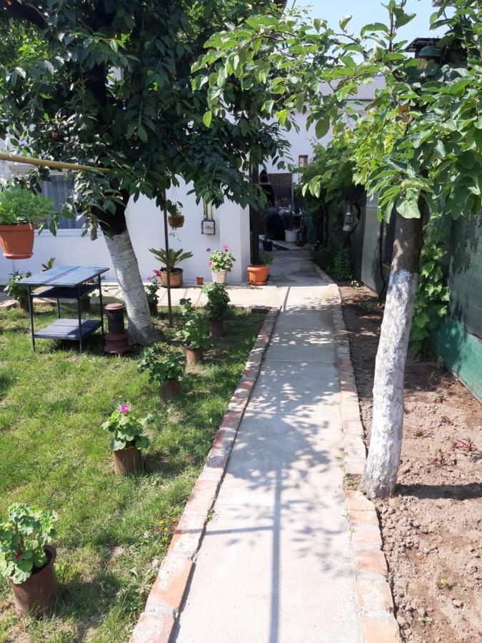 House Craiova Exterior foto