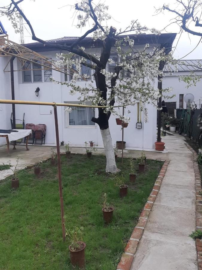 House Craiova Exterior foto